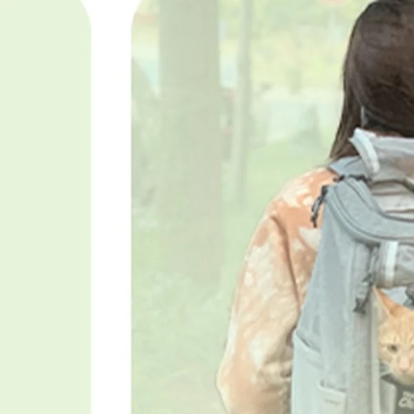 Ba Lô Vận Chuyển Có Cửa Sổ