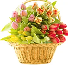 Kệ Hoa Chúc Mừng Hai Tầng