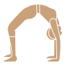 Trị liệu cột sống