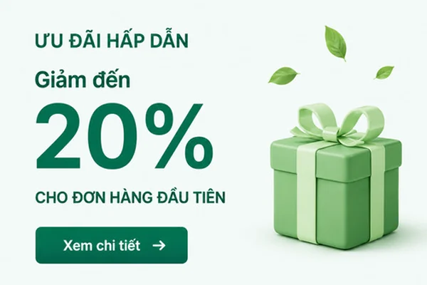 Khử mùi nhà vệ sinh dứt điểm