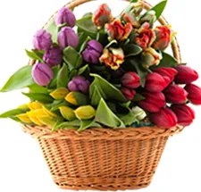 Hoa Cầm Tay Cô Dâu Trắng