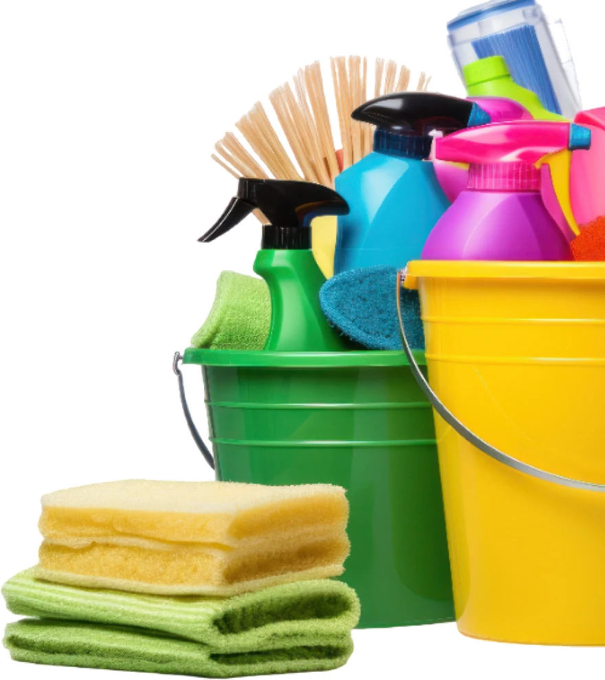 Mẫu dịch vụ dọn dẹp & vệ sinh